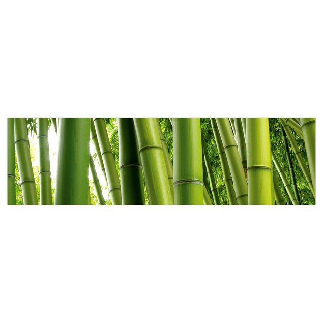 Motiv Küchenrückwand Bamboo Trees