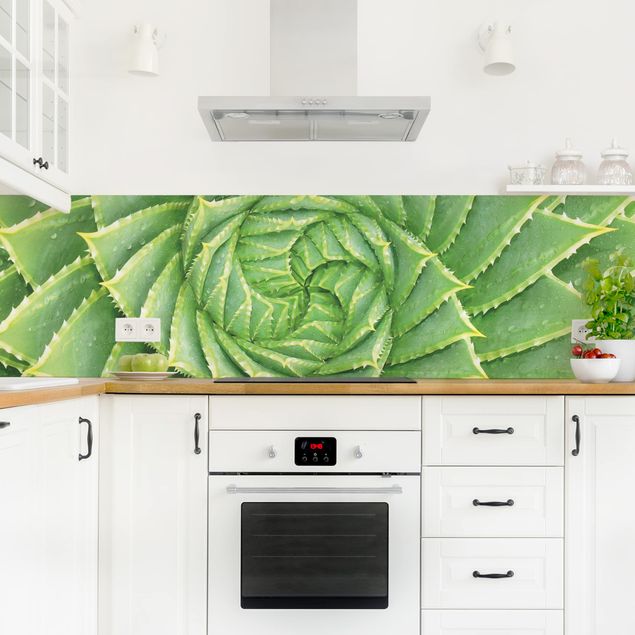 Küchenrückwand - Spiral Aloe
