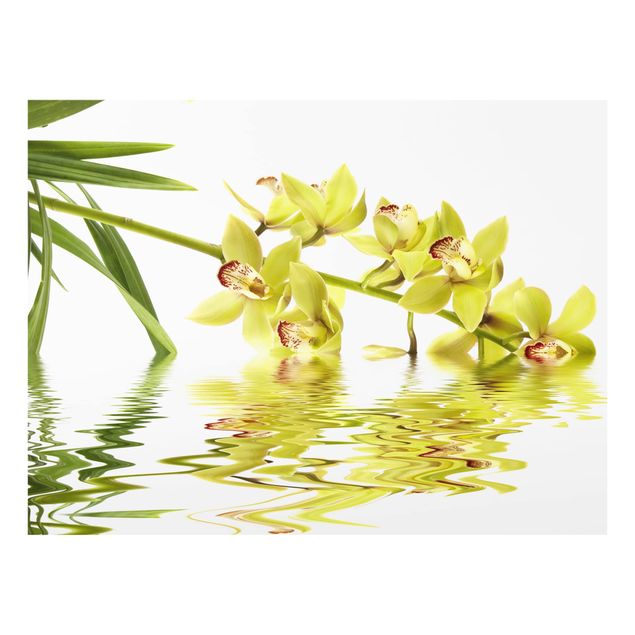 Glas Spritzschutz - Elegant Orchid Waters - Querformat - 4:3