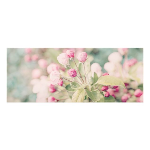 Spritzschutz Glas - Apfelblüte Bokeh rosa - Panorama