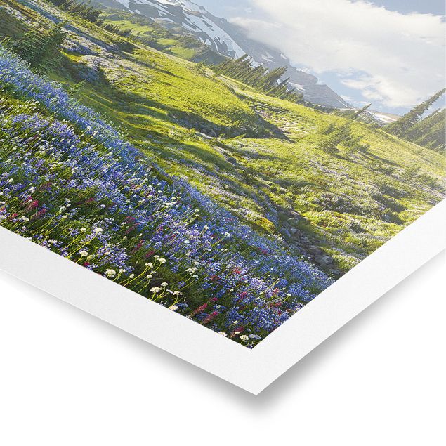 Poster - Bergwiese mit Blumen vor Mt. Rainier - Querformat 2:3