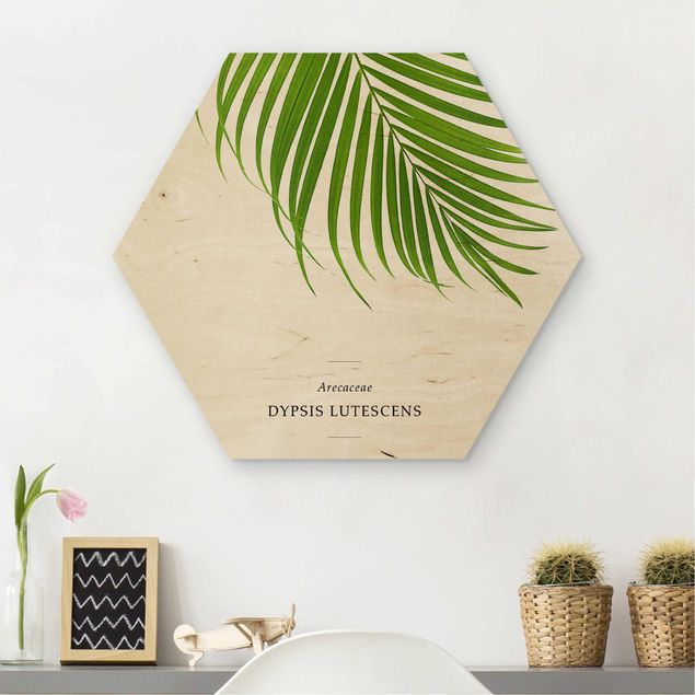 Holzbilder Sprüche Tropisches Blatt Areca Palme