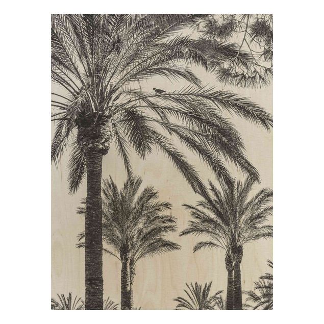 Holzbilder Natur Palmen im Sonnenuntergang Schwarz-Weiß