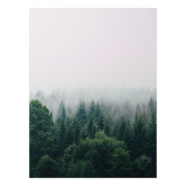 Alu-Dibond - Wald im Nebel Dämmerung - Querformat
