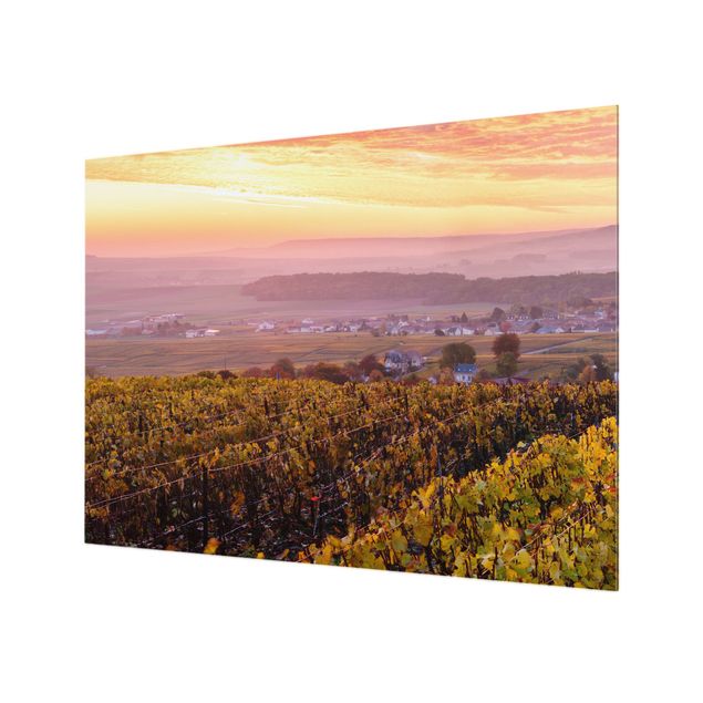 Spritzschutz - Weinplantage bei Sonnenuntergang - Querformat 4:3