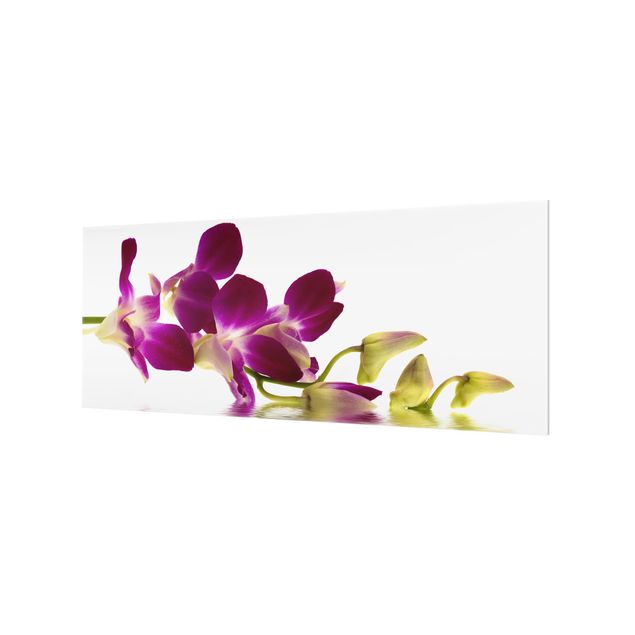 Spritzschutz Glas - Pink Orchid Waters - Panorama - 5:2