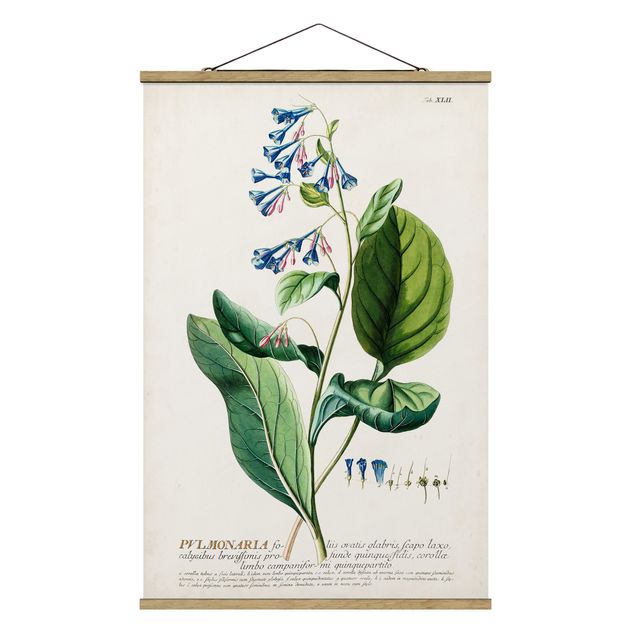 Stoffbild mit Posterleisten - Vintage Botanik Illustration Lungenkraut - Hochformat 2:3