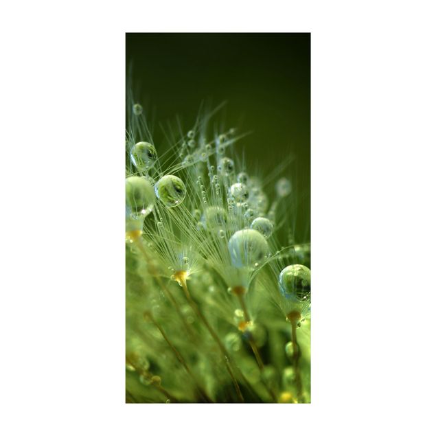 teppich mit blumenmuster Grüne Samen im Regen