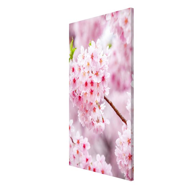 Magnettafel - Japanische Kirschblüten - Hochformat 3:4