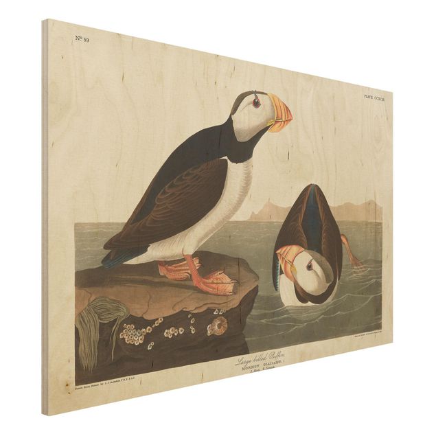 Holzbilder Natur Vintage Lehrtafel Papageientaucher II