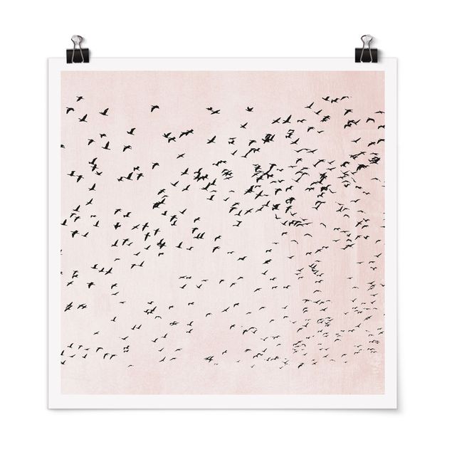 Kubistika Prints Vogelschwarm im Sonnenuntergang