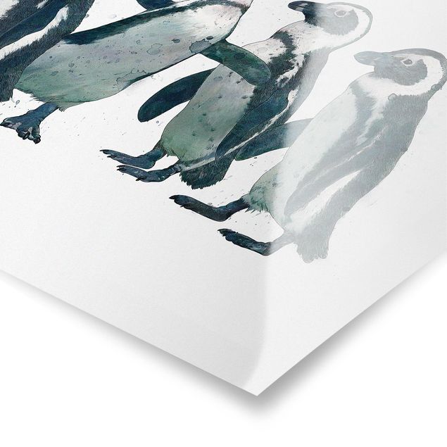 Poster kaufen Illustration Pinguine Schwarz Weiß Aquarell