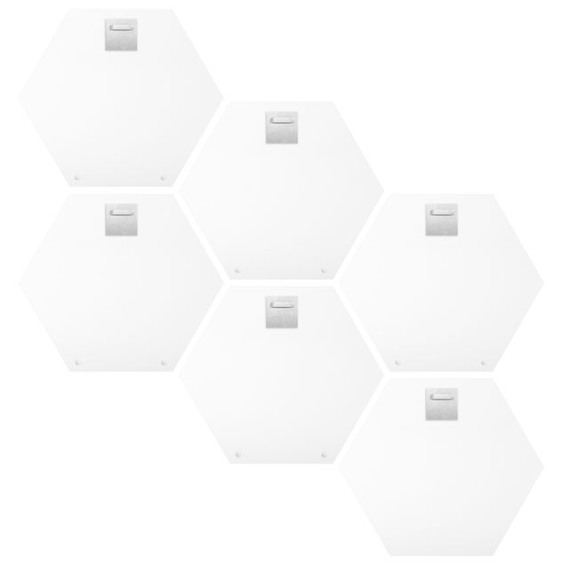 Hexagon Bild Forex 6-teilig - Aquarell Waldtiere mit Blumen Set V
