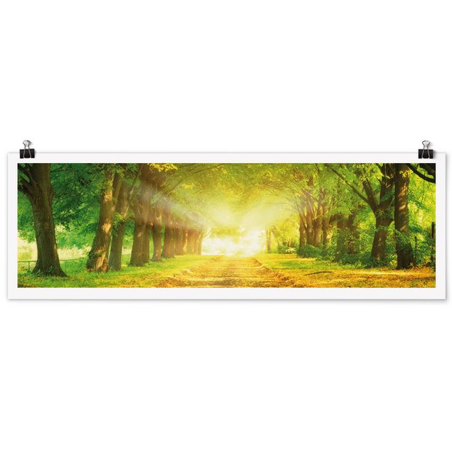 Poster - Autumn Avenue - Panorama Querformat