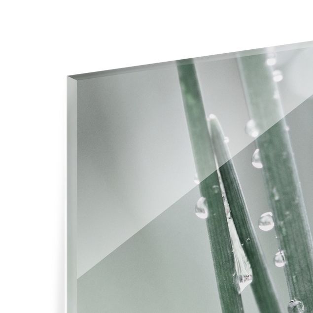 Spritzschutz Glas - Makroaufnahme Wasserperlen am Gras - Querformat 3:2