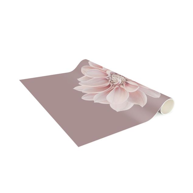 Teppich Blumen Dahlie Blume Lavendel Weiß Rosa