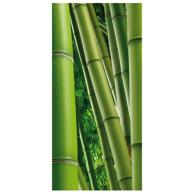 Raumteiler - Bamboo Trees No.2 250x120cm