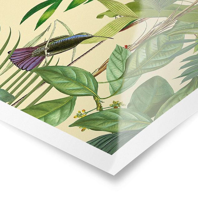 Poster - Vintage Collage - Vögel im Dschungel - Panorama Querformat