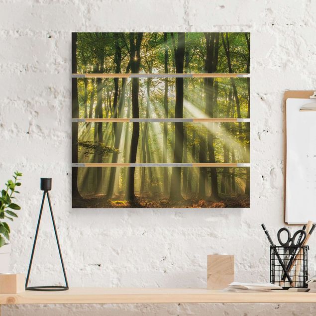 Holzbilder Natur Sonnentag im Wald