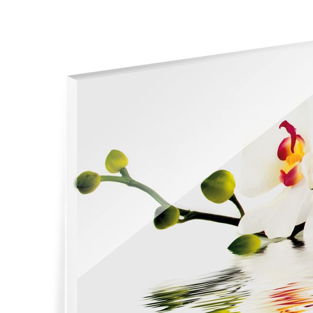 Spritzschutz Glas - Vivid Orchid Waters - Querformat - 2:1