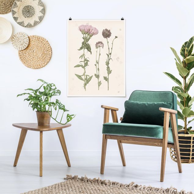 Poster mit Blumen Herbarium in rosa III