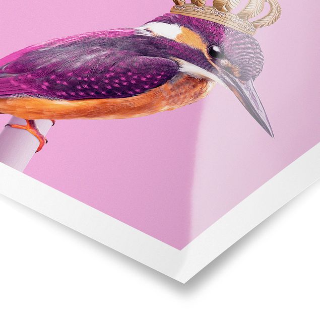 Poster bestellen Rosa Eisvogel mit Krone