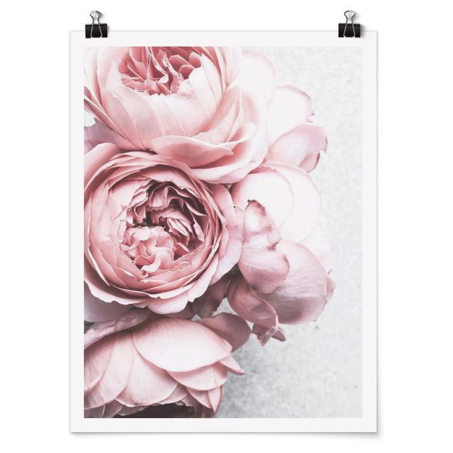 Poster - Rosa Pfingstrosenblüten Shabby Pastell - Hochformat 4:3