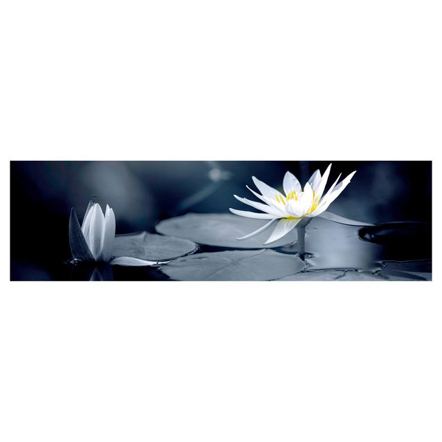 Küchenrückwand auf Maß Lotus Spiegelung im Wasser