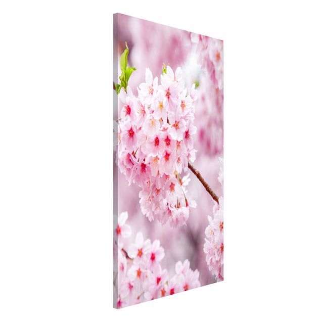 Magnettafel - Japanische Kirschblüten - Hochformat 3:4