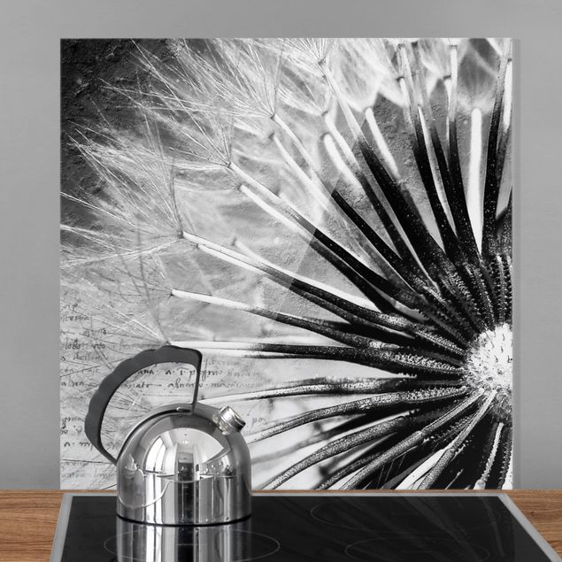 Glasrückwand Küche Pusteblume Pusteblume Schwarz & Weiß