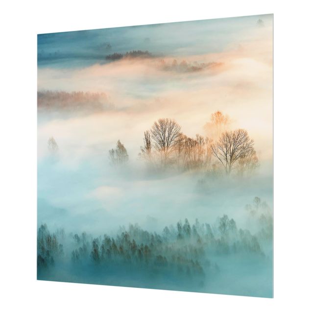 Glas Spritzschutz - Nebel bei Sonnenaufgang - Quadrat - 1:1