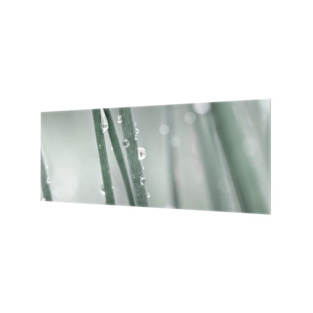 Spritzschutz Glas - Makroaufnahme Wasserperlen am Gras - Panorama 5:2