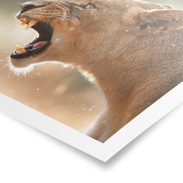 Poster - Löwin auf der Jagd - Querformat 2:3
