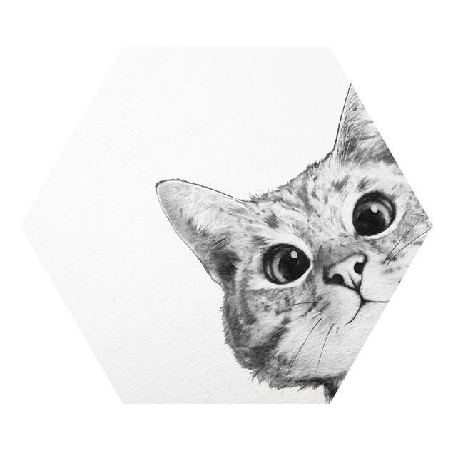 Hexagon Bild Forex - Illustration Katze Zeichnung Schwarz Weiß