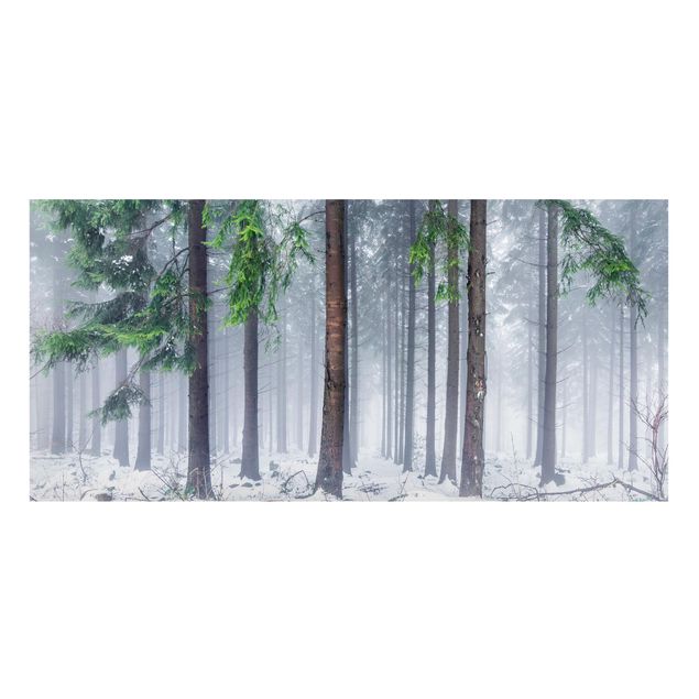 Magnettafel - Nadelbäume im Winter - Panorama Querformat