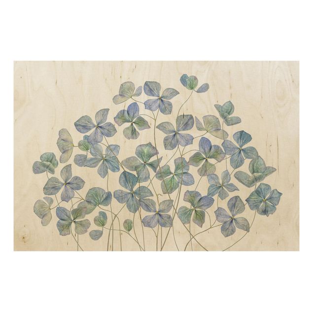 Holzbilder Blumen Blaue Hortensienblüten