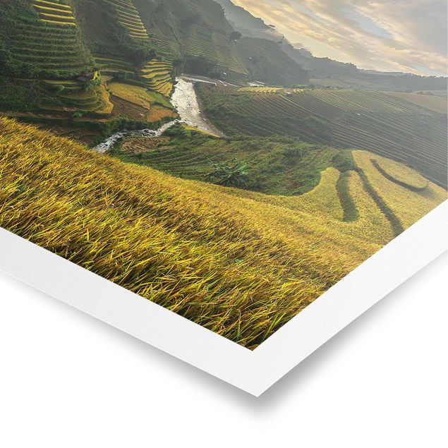 Moderne Poster Reisplantagen in Vietnam