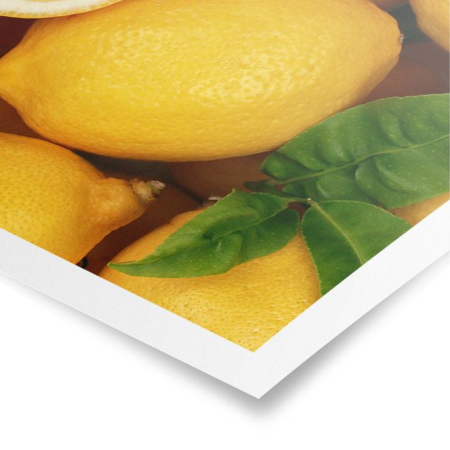 Poster - Saftige Zitronen - Panorama Querformat