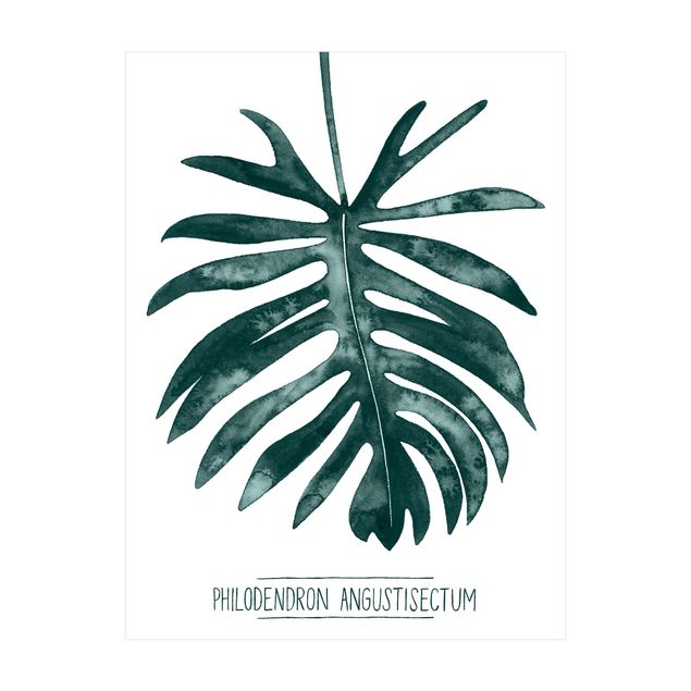 Teppich weiß Smaragdgrüner Philodendron Angustisectum