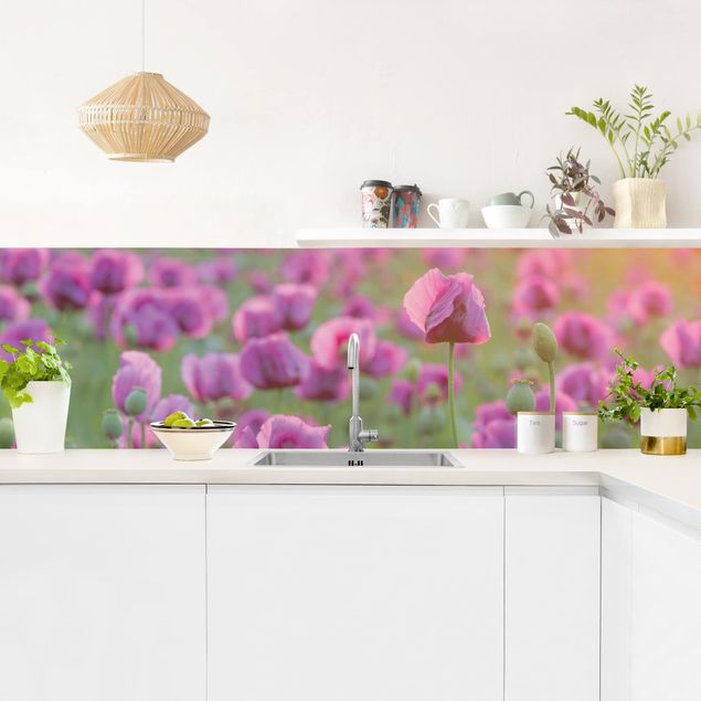 Wandpaneele Küche Violette Schlafmohn Blumenwiese im Frühling
