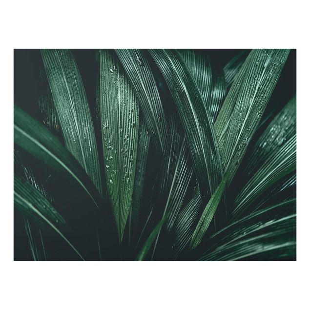 Glas Spritzschutz - Grüne Palmenblätter - Querformat - 4:3