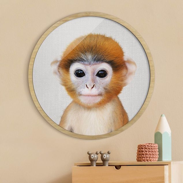 Moderne Bilder mit Rahmen Baby Affe Anton