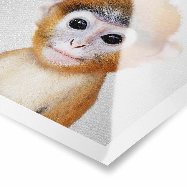 Poster kaufen Baby Affe Anton