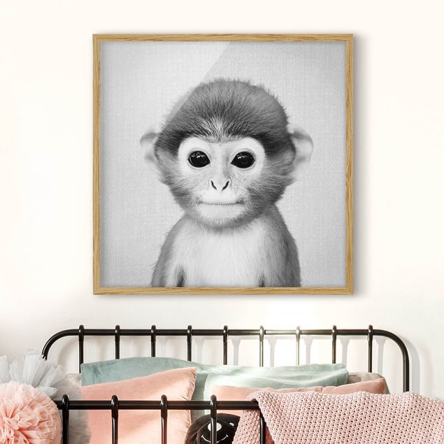 schwarz-weiß Bilder mit Rahmen Baby Affe Anton Schwarz Weiß
