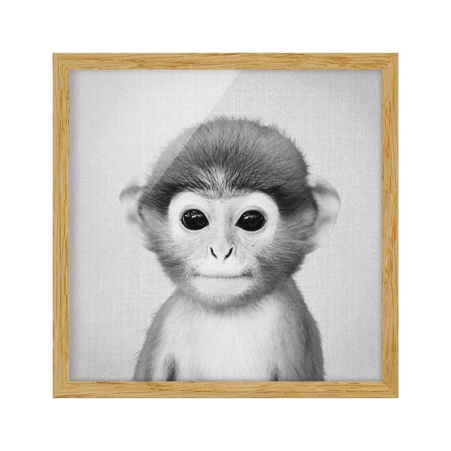 Wandbilder Baby Affe Anton Schwarz Weiß
