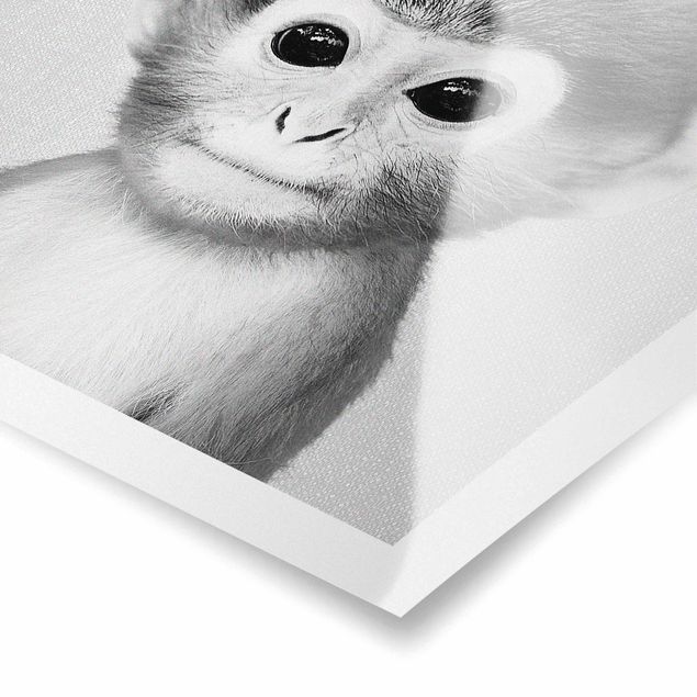 Poster bestellen Baby Affe Anton Schwarz Weiß