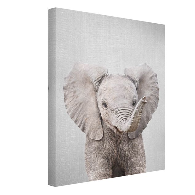 Leinwandbilder kaufen Baby Elefant Elsa