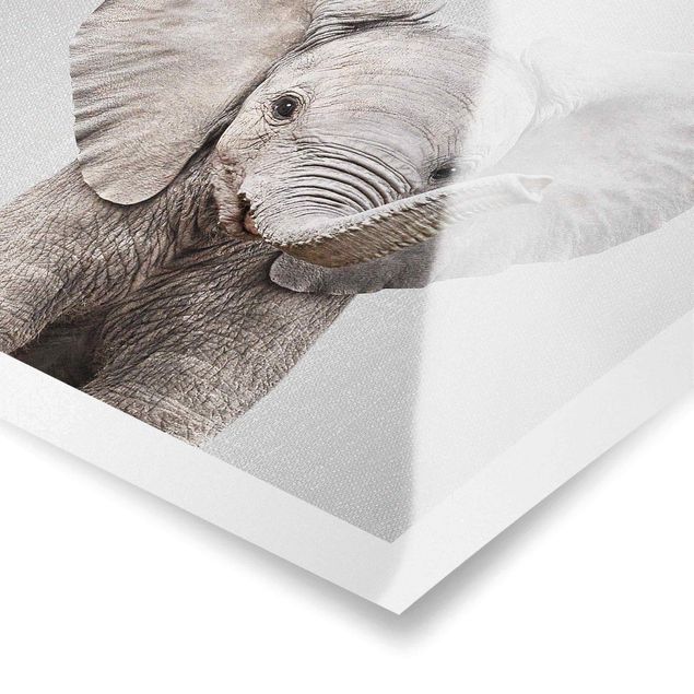 Poster - Baby Elefant Elsa - Quadrat 1:1