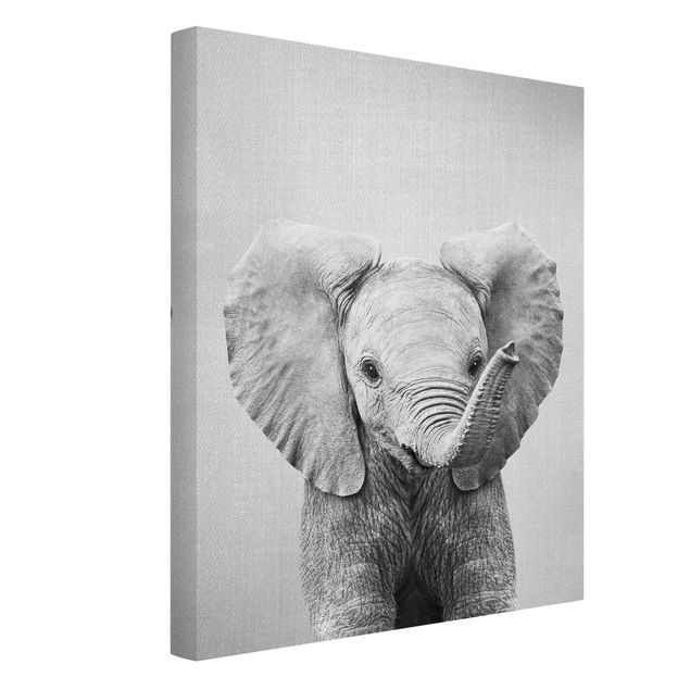Bilder Baby Elefant Elsa Schwarz Weiß