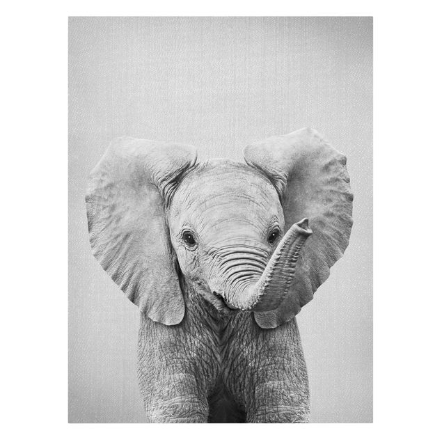 Leinwandbilder Baby Elefant Elsa Schwarz Weiß
